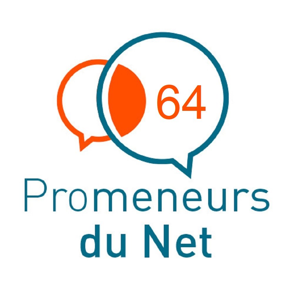 Promeneur du Net